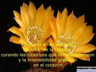 Porque el amor perdona,
          Escarba en la tristeza,
curando las cicatrices que la incomprension
       y la insensibilidad grabaron
               en el corazón.
 