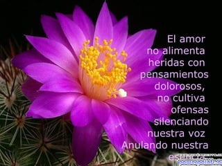 El amor
     no alimenta
     heridas con
   pensamientos
      dolorosos,
       no cultiva
          ofensas
      silenciando
     nuestra voz
Anulando nuestra
          esencia
 