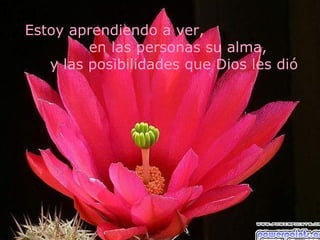 Estoy aprendiendo a ver,
         en las personas su alma,
   y las posibilidades que Dios les dió
 