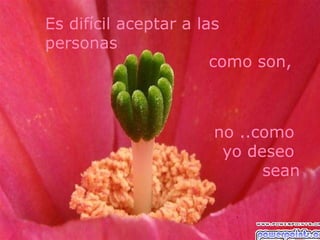 Es difícil aceptar a las
personas
                       como son,



                     no ..como
                      yo deseo
                           sean
 