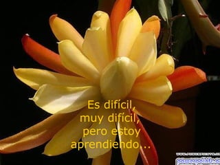 Es difícil,
 muy difícil,
  pero estoy
aprendiendo...
 