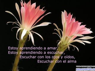 Estoy aprendiendo a amar,
Estoy aprendiendo a escuchar,
      Escuchar con los ojos y oídos,
               Escuchar con el alma
 