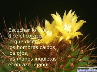 Escuchar lo que
dice el corazón,
lo que dicen
los hombros caídos,
los ojos,
las manos inquietas
el abrazo lejano.
 