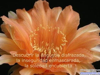 Descubrir la angústia disfrazada,
 la inseguridad enmascarada,
      la soledad encubierta
 