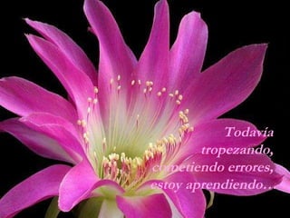 Todavía  tropezando,  cometiendo errores,  estoy aprendiendo… 