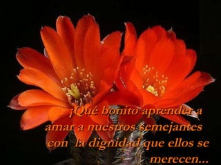 ¡Qué bonito aprender a  amar a nuestros semejantes  con  la dignidad que ellos se merecen... 