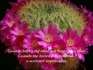 Cuando huyen del ideal que tengo para ellas. Cuando me hieren con palabras  o acciones impensadas. 