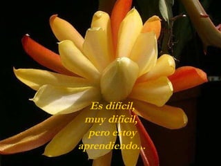 Es difícil,  muy difícil,  pero estoy aprendiendo...   