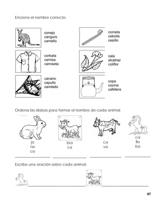 47
Encierra el nombre correcto.
conejo
canguro
camello
corbata
camisa
camiseta
canario
capullo
candado
Ordena las silabas para formar el nombre de cada animal.
jo
ne
co
___________________
bra
ca
__________________
ca
va
_________________
ca
llo
ba
______________
Escribe una oración sobre cada animal.
_______________________________ _________________________
cometa
cebolla
cepillo
cala
alcatraz
coliflor
copa
cocina
cafetera
 