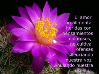 El amor  no alimenta  heridas con  pensamientos dolorosos,  no cultiva  ofensas silenciando nuestra voz  Anulando nuestra esencia  