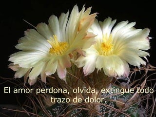 El amor perdona, olvida, extingue todo trazo de dolor. 