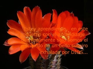 Estoy aprendiendo,  en este coqueteo con el aprendizaje  que finalmente solo somos el recuerdo de un bello suspiro exhalado por DIOS … 