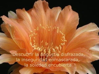 Descubrir la angústia disfrazada, la inseguridad enmascarada,  la soledad encubierta  