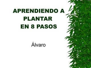APRENDIENDO A PLANTAR  EN 8 PASOS Álvaro   