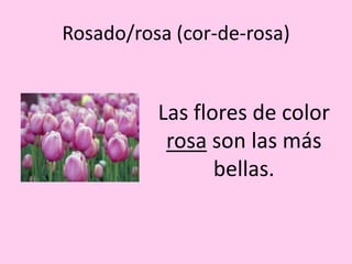Rosado/rosa (cor-de-rosa)


          Las flores de color
           rosa son las más
                 bellas.
 