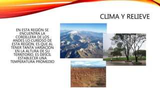 CLIMA Y RELIEVE
EN ESTA REGIÓN SE
ENCUENTRA LA
CORDILLERA DE LOS
ANDES LO CURIOSO DE
ESTA REGIÓN, ES QUE AL
TENER TANTA VARIACIÓN
EN LA ALTURA DE SU
TERRITORIO, ES DIFÍCIL
ESTABLECER UNA
TEMPERATURA PROMEDIO
 