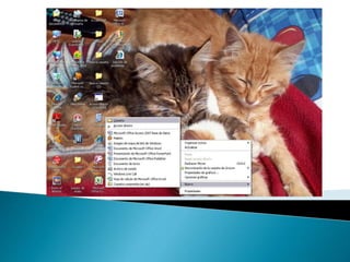 Aprendiendo microsoft word