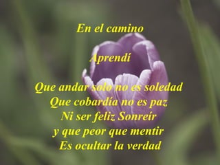 En el camino   Aprendí Que andar solo no es soledad  Que cobardía no es paz  Ni ser feliz Sonreír  y que peor que mentir  Es ocultar la verdad 