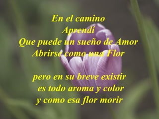 En el camino  Aprendí  Que puede un sueño de Amor  Abrirse como una Flor    pero en su breve existir  es todo aroma y color y como esa flor morir 