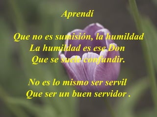 Aprendí  Que no es sumisión, la humildad La humildad es ese Don  Que se suele confundir. No es lo mismo ser servil  Que ser un buen servidor . 