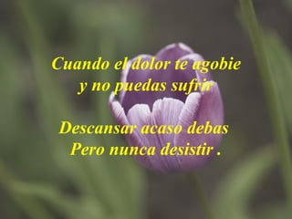 Cuando el dolor te agobie y no puedas sufrir Descansar acaso debas  Pero nunca desistir . 
