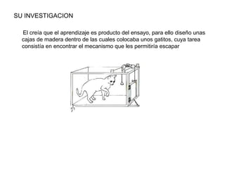 SU INVESTIGACION

  El creía que el aprendizaje es producto del ensayo, para ello diseño unas
  cajas de madera dentro de las cuales colocaba unos gatitos, cuya tarea
  consistía en encontrar el mecanismo que les permitiría escapar
 