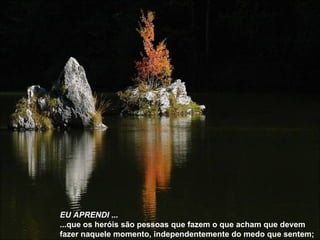 EU APRENDI  ... ...que os heróis são pessoas que fazem o que acham que devem fazer naquele momento, independentemente do medo que sentem; 