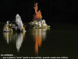 EU APRENDI  ... ... que a palavra "amor" perde o seu sentido, quando usada sem critério; 