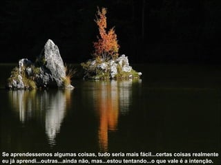 Se aprendessemos algumas coisas, tudo seria mais fácil...certas coisas realmente eu já aprendi...outras...ainda não, mas...estou tentando...o que vale é a intenção.  
