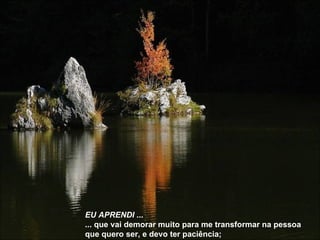 EU APRENDI  ... ... que vai demorar muito para me transformar na pessoa que quero ser, e devo ter paciência; 