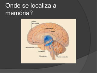 Onde se localiza a
memória?
 