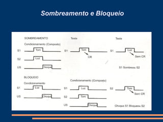 Sombreamento e Bloqueio
 