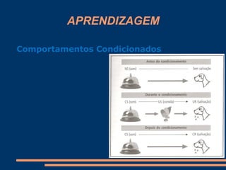 APRENDIZAGEM
Comportamentos Condicionados
 