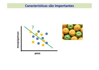 ?
circunferência
peso
Características são Importantes
 