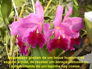 As pessoas gostam de um toque humano, de segurar a mão, de receber um abraço afetuoso ou simplesmente de um tapinha nas costas.