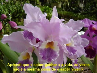 Aprendi que « saber ganhar » a vida, às vezes não é a mesma coisa de « saber viver ».