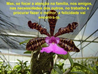 Mas, se focar a atenção na família, nos amigos, nas necessidades dos outros, no trabalho e procurar fazer o melhor, a felicidade vai encontrá-lo.