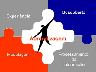 Descoberta   Modelagem Processamento  da Informação Experiência Aprendizagem 