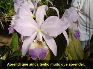 Aprendi que ainda tenho muito que aprender.
 