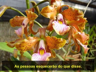 As pessoas esquecerão do que disse,
 