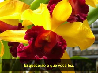 Esquecerão o que você fez,
 