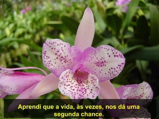 Aprendi que a vida, às vezes, nos dá uma
           segunda chance.
 