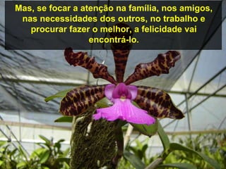 Mas, se focar a atenção na família, nos amigos,
 nas necessidades dos outros, no trabalho e
   procurar fazer o melhor, a felicidade vai
                  encontrá-lo.
 