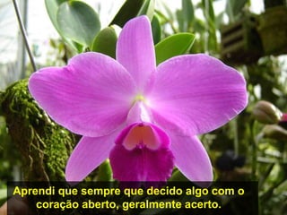 Aprendi que sempre que decido algo com o
    coração aberto, geralmente acerto.
 