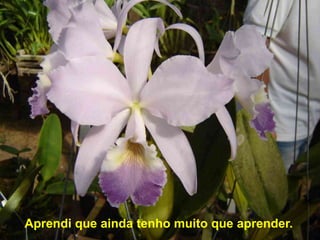 Aprendi que ainda tenho muito que aprender.
 