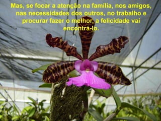 Mas, se focar a atenção na família, nos amigos,
 nas necessidades dos outros, no trabalho e
   procurar fazer o melhor, a felicidade vai
                  encontrá-lo.
 
