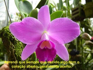 Aprendi que sempre que decido algo com o
    coração aberto, geralmente acerto.
 