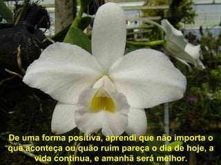 De uma forma positiva, aprendi que não importa o
que aconteça ou quão ruim pareça o dia de hoje, a
vida continua, e amanhã será melhor.
 