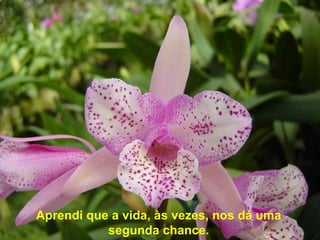 Aprendi que a vida, às vezes, nos dá uma
segunda chance.
 