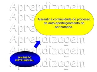 Garantir a continuidade do processo
de auto-aperfeiçoamento do
ser humano.
DIMENSÃO
INSTRUMENTAL
 